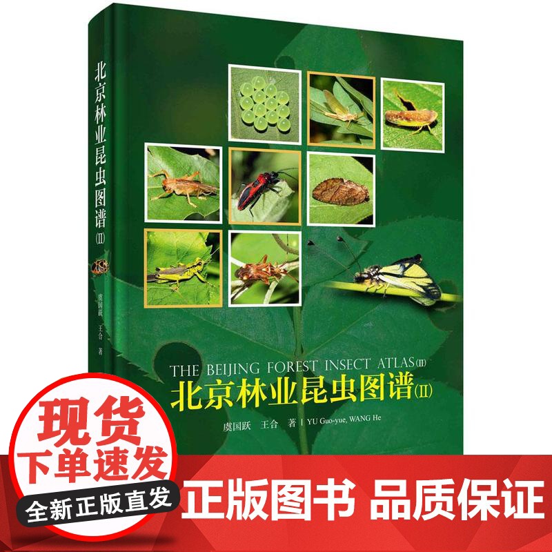 北京林业昆虫图谱 II 虞国跃 王合 圆脊精装 科学出版社9787030687036
