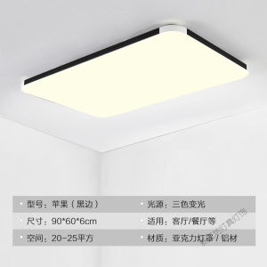 苏宁放心购 2020年新款客厅灯led吸顶灯家用简约现代大气大灯长方形卧室灯具