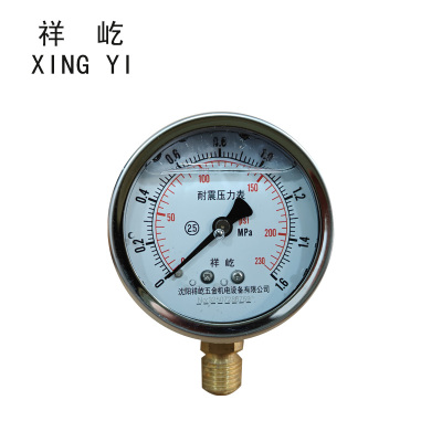 祥屹 耐震压力表 YTN60 0-1.6Mpa 块