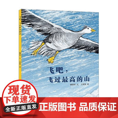 飞吧 飞过最高的山 杨翠平 著 儿童绘本
