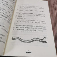 [M]洋葱头历险记-9787514816242