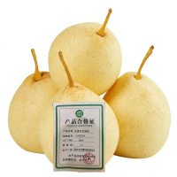 艾提尕水晶梨500克/份