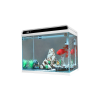 小型鱼缸客厅金鱼超白玻璃免换水生态懒人桌面家用造景水族箱