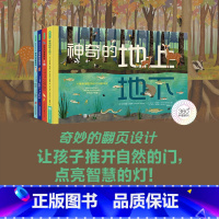 [正版]360°科普系列-神奇的地上地下 全4册7-10岁经典自然图书绘本