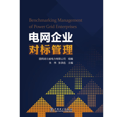 醉染图书电网企业对标管理9787519845254