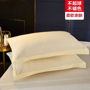 枕套枕头套双人单人学生宿舍枕芯套48x74cm一对拍2