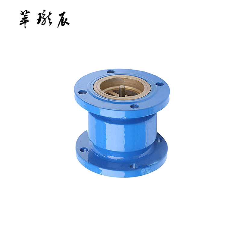 萃珑辰 HC41X消声逆止阀 DN65 个