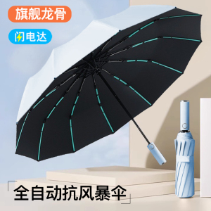 自动伞020