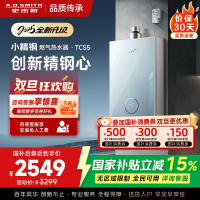 史密斯佳尼特[小精钢TCS5]13升精钢燃气热水器 国家补贴 JSQ26-TCS5 安全守护 持久恒温大水量 新品