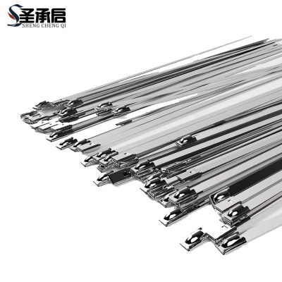 圣承启 不锈钢扎带 12*550mm根