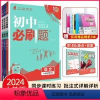 七下 语数英3本套 人教 七年级 [正版]2024初中语文数学英语政治历史地理生物七年级上下册人教北师外研沪科沪粤初一