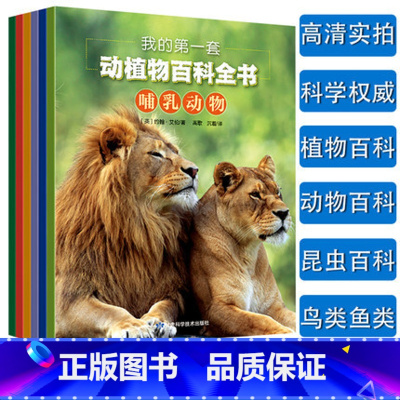 我的第一套动植物百科全书(全6册) [正版] 我的第一套动植物百科全书全套6册鸟类昆虫鱼类爬行与两栖动物植物哺乳动物青少