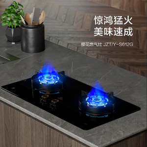 樱花线下同款4.5KW猛火燃气灶家用双灶煤气灶S612G液化气燃气灶