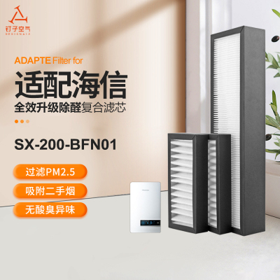 适配海信壁挂式新风机过滤网SX-200-BFN01/DHA20D1除醛过滤芯套装