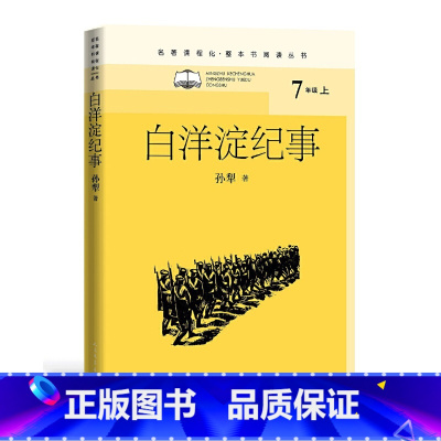白洋淀纪事 [正版]朝花夕拾(名著课程化·整本书阅读丛书)