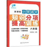 新课程小学语文知识分项提高训练.六年级