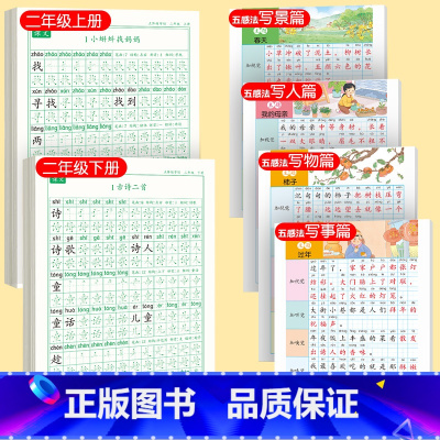 [上下册]同步字帖2上下+五感法字帖 [正版]二年级上册下册同步练字帖语文人教版小学生硬笔书法练字本楷书笔画笔顺儿童铅笔