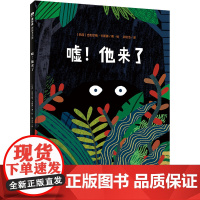 魔法象 嘘!他来了 吉列尔梅·卡斯滕/著绘 3-6岁 幽默 捉迷藏 躲猫猫 绘本 广西师范大学出版社