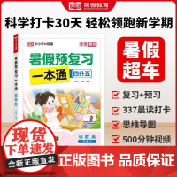 荣恒教育25版SJ暑假预复习一本通四升五书籍儿童文学书系读物中国当代动漫丛书正版册文学系列获奖推理注音11岁名家9岁
