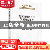 正版 能源领域培育与发展研究报告 黄其励,彭苏萍主编 科学出版