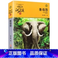 象母怨 [正版]完整版象母怨全本沈石溪的图书籍动物小说大王品藏系列小学生三四五六年级儿童文学作品珍藏全集1全套单本一新版