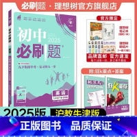 英语 HN 九年级下 [正版]理想树2025版初中九年级下册英语沪教牛津版HN初三同步练习中考复习资料模拟题辅导书同步练
