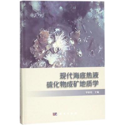 现代海底热液硫化物成矿地质学