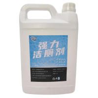 赞属 强力洁厕剂 CY-02 箱