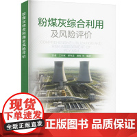 粉煤灰综合利用及风险评价 姜龙 等 编 建筑/水利(新)专业科技 正版图书籍 中国电力出版社