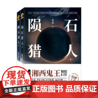 陨石猎人 上下 易飞扬 著 小说