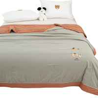 三水依梦 亲肤大豆夏被 150*200cm 条