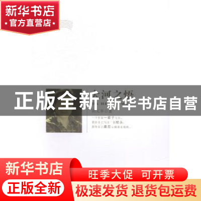 正版 大河之悟 刘元举著 敦煌文艺出版社 9787546806600 书籍