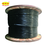 傻实在 电缆 国标全项保检 YJV22 3*25+1*16 米