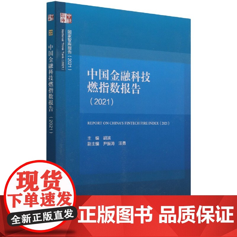 中国金融科技燃指数报告(2021)/国家智库报告
