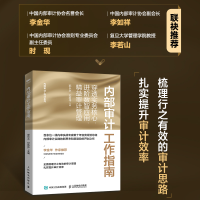 [M]内部审计工作指南 穿透实务核心,进阶数智应用,精益审计管理-9787115593740