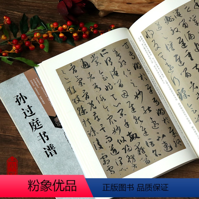 [正版]孙过庭书谱 古代经典碑帖善本 书法爱好初学者专业院校学生毛笔草书原寸局部练习字帖简体旁注通篇释读临摹赏欣范本书
