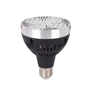 古信led射灯灯泡PAR30射灯 E27螺口/40W 个