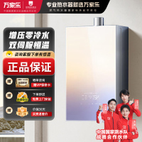 万家乐 燃气热水器16RG3 天然气下置风机16升零冷水密闭稳燃舱全景玻璃屏[彩虹系列]