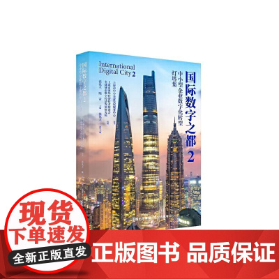国际数字之都2