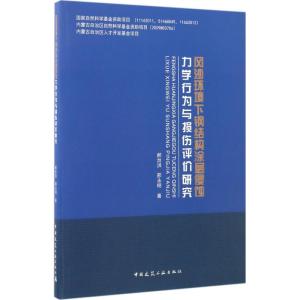 正版新书]风沙环境下钢结构涂层侵蚀力学行为与损伤评价研究郝贠