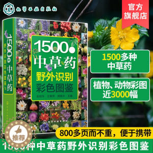 [醉染正版]1500种中草药野外识别彩色图鉴 中草药书入门医学书籍 本草纲目 医学自学书籍中草药大全常用中药养生功效药方