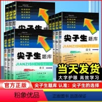 语文[人教版] 九年级下 [正版]2024新版尖子生题库七年级八年级九年级下册数学语文英语物理化学全套人教版 初中必刷题