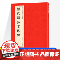 中国历代名碑名帖精选 颜真卿多宝塔碑 中国碑帖名品颜体楷书毛笔字帖书法临摹古帖宋拓本正版书籍颜体楷书毛笔字帖书法临摹临帖