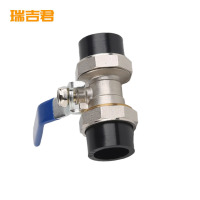 瑞吉君 PE双活接球阀 25mm 个
