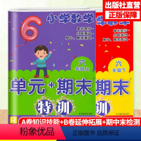 [正版]小学数学单元+期末特训六年级上下2册配人教版数学单元同步测试卷附答案期末复习测试习题 6年级上下册数学课外习题