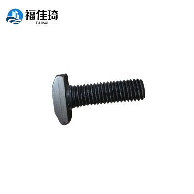 福佳琦 T型螺栓 12*40mm 个