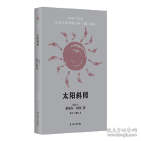 正版新书]太阳斜照 外国现当代文学 (爱尔兰)多纳尔·瑞安(爱尔兰