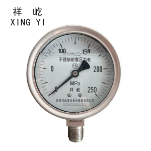 祥屹 不锈钢耐震压力表 YN100BF 块