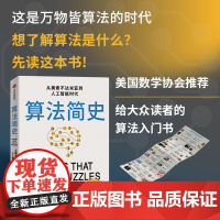 算法简史 从美索不达米亚到人工智能时代 克里斯布利克利著 中信出版社图书 正版