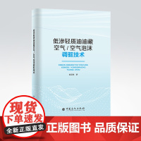 [店]低渗轻质油油藏空气/空气泡沫调驱技术 低渗、油藏、空气、调驱 秦国伟 著9787511466617
